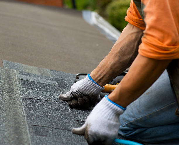 Best Roof Gutter Cleaning  in New Middletown, OH